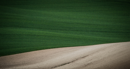 Green and gray spring sown field abstract eco background. Summer hill minimal nature wallpaper. South Moravia, Czech Republicの写真素材