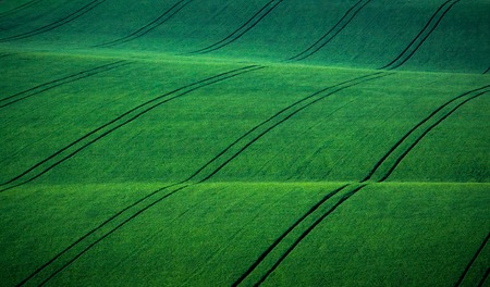 Green spring sown field abstract eco background. Summer hill amazing paysage wallpaper. South...