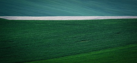 Green spring sown field abstract eco background. Summer hill amazing paysage wallpaper. South Moravia, Czech Republicの写真素材