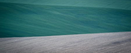 Green spring sown field abstract eco background. Summer hill amazing paysage wallpaper. South Moravia, Czech Republicの写真素材