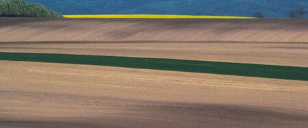 spring sown field abstract eco background. Summer hill minimal nature wallpaper. South Moravia, Czech Republicの写真素材