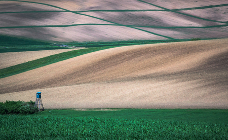 Green spring sown field abstract eco background. Summer hill amazing paysage wallpaper. South Moravia, Czech Republicの写真素材