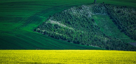 Green spring sown field abstract eco background. Summer hill amazing paysage wallpaper. South Moravia, Czech Republicの写真素材