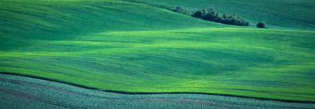 Green spring sown field abstract eco background. Summer hill amazing paysage wallpaper. South Moravia, Czech Republicの写真素材