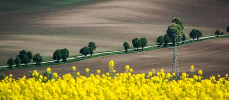 Spring sown field abstract eco background. Summer hill amazing paysage wallpaper. South Moravia, Czech Republicの写真素材