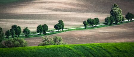Spring sown field abstract eco background. Summer hill amazing paysage wallpaper. South Moravia, Czech Republicの写真素材