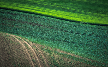 Green spring sown field abstract eco background. Summer hill amazing paysage wallpaper. South Moravia, Czech Republicの写真素材