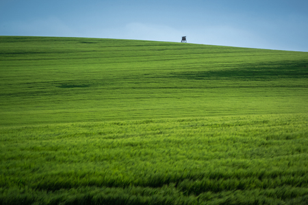Green spring sown field abstract eco background. Summer hill amazing paysage wallpaper. South Moravia, Czech Republicの写真素材