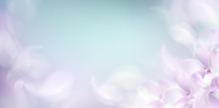 Soft spring background with purple blurred flower petals and feathers vector illustrationのイラスト素材