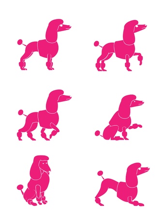 Poodle Dogのイラスト素材