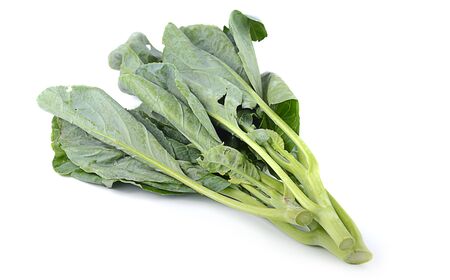 Chinese kale vegetableの写真素材