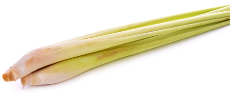 Fresh Lemon Grass on white backgroundの写真素材