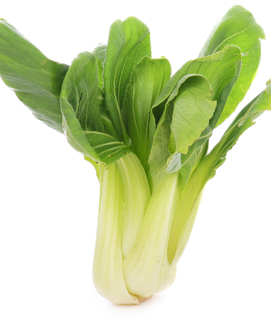 choi sum isolated on white backgroundの写真素材