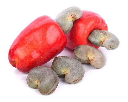 Cashews or Caju Fruit isolated on white backgroundの写真素材