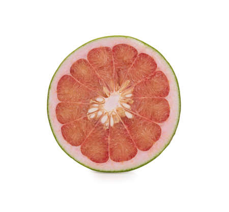 Fresh herbal plant leaves Andrographis paniculataの写真素材