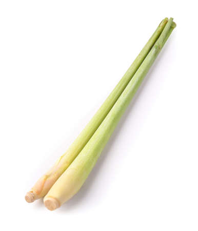 Natural wood charcoal isolated on a white background.の写真素材