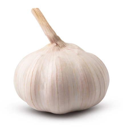 Beautiful garlic isolated on white background. with clipping path.の写真素材
