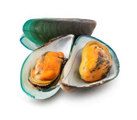 mussels isolated on white background. with clipping path.の写真素材