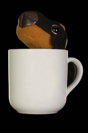 Doberman tiny in coffe cupの写真素材
