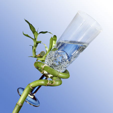 Goblet with wine on bamboo spiral stalkの写真素材