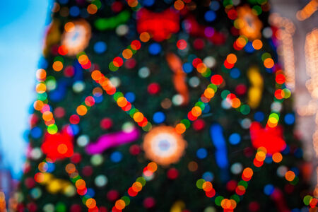 Out of focus christmas tree  bokeh effect  の写真素材