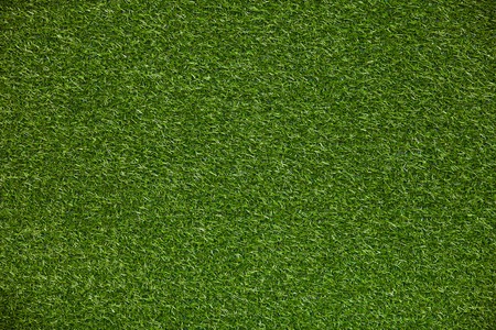Green lawn texture, background of green grass