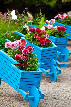Background of garden design. Landscaping in park with blue handmade carts decorated with flowers