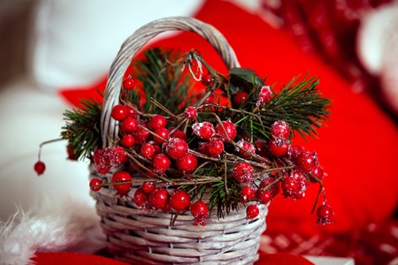 Christmas background with basket of red berries in frostの写真素材