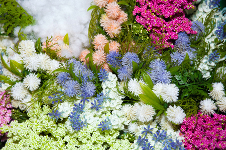 Different flowers background of white, green and red colorsの写真素材