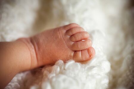 Leg of newborn kid
