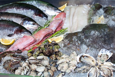 Fresh seafood in iceの写真素材