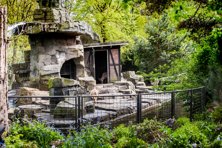 Amsterdam, Netherlands - April, 2017: Visitors in Amsterdam city Zoo, Netherlandsのeditorial素材