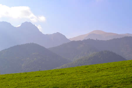 Green meadow in front of mountains in a slight haze. Spring nature and freshness. Beautiful background for advertising natural productsの写真素材