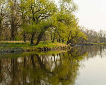 Spring landscape with a river and a grove of trees reflecting in the river.の写真素材