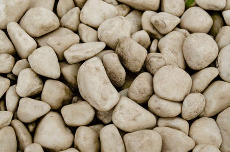 White pebble on the small garden ground inside the house. Background of natural white pebbles...