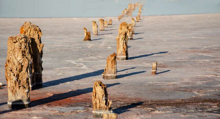 White gound or salt lake. remains of a wooden building in a salt lake. rotten wooden posts....