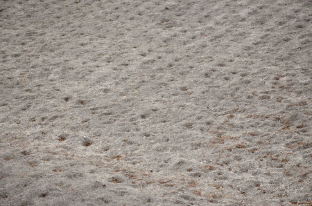 Vegetable garden field Background image of chalky limestone soil with patterns texture. Difficulties in soil cultivation. Agricultureの写真素材