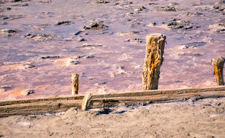 A wooden crumbling post on the lake for the extraction of salt. Salt deposits. Healing mud. Pink lakeの写真素材