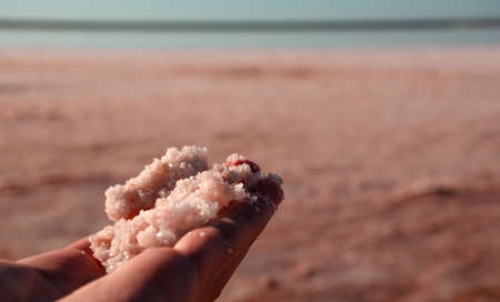 Hand holds pink salt. Textra of natural pink salt. Bacteria in nature. Abstract natural background of edible salt. Evaporation, extraction of minerals. Natural saltの写真素材