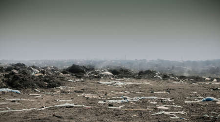 Dead fish and garbage at the riverside with blur city background,