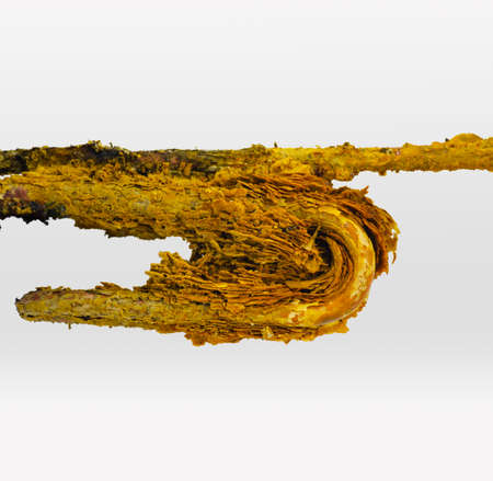 Damaged boiler, damaged heating element, rust and scale with sediment - bad water quality.の写真素材