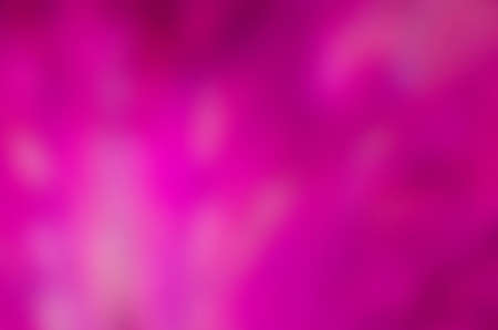 Colorful flower background of beautiful Purple colors. Background of product studio with Violet colour.の写真素材