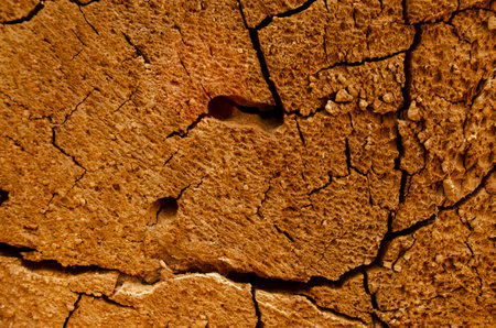 Perfect round felled tree with annual rings and cracks. Wooden texture.. The crack on the surface of the cut wood.の写真素材