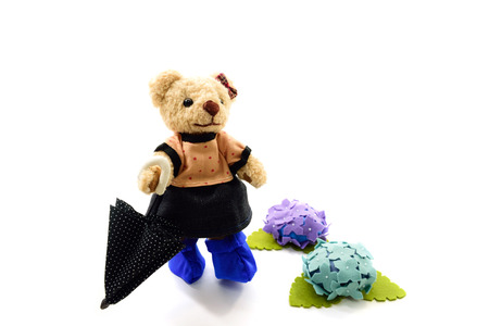 Teddy bear of the rainy dayの写真素材
