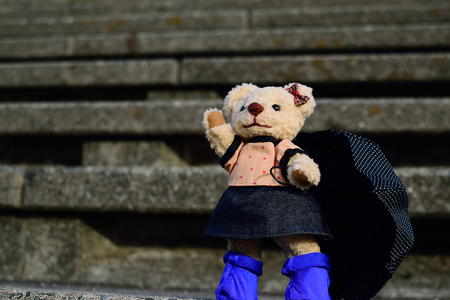 the end of the rainy seasonの写真素材