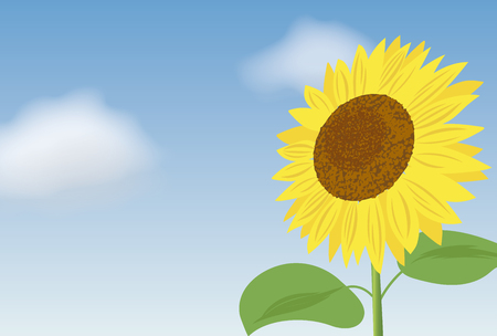Summer greeting card of sunflowerのイラスト素材