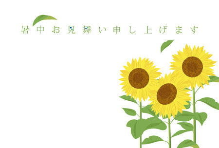 Summer greeting card of sunflowerのイラスト素材