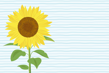 Summer greeting card of sunflowerのイラスト素材