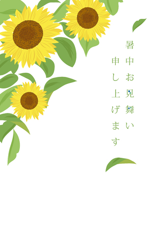 Summer greeting card of sunflowerのイラスト素材