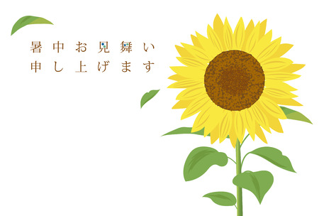 Summer greeting card of sunflowerのイラスト素材